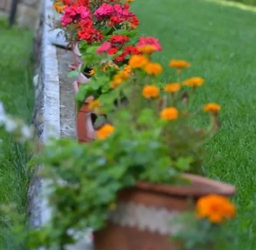 Homestay Pontica Sofia