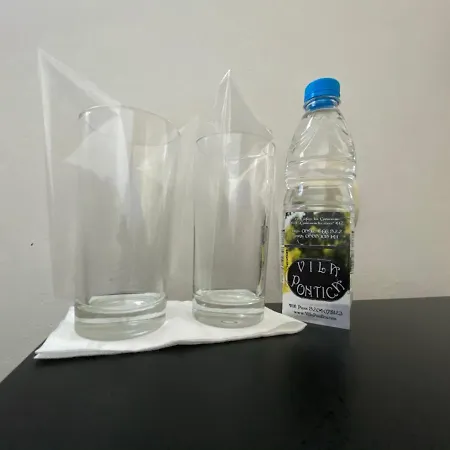 伯尼卡别墅酒店 *