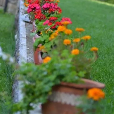 Homestay szállás Pontica Szófia